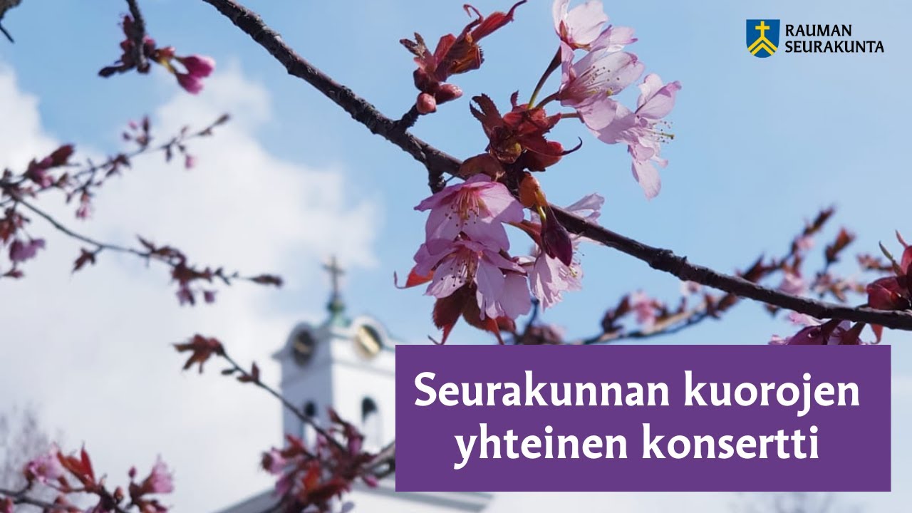 Kirsikankukkien takaa häämöttää kirkon torni. Teksti: Seurakunnan kuorojen yhteinen konsertti.