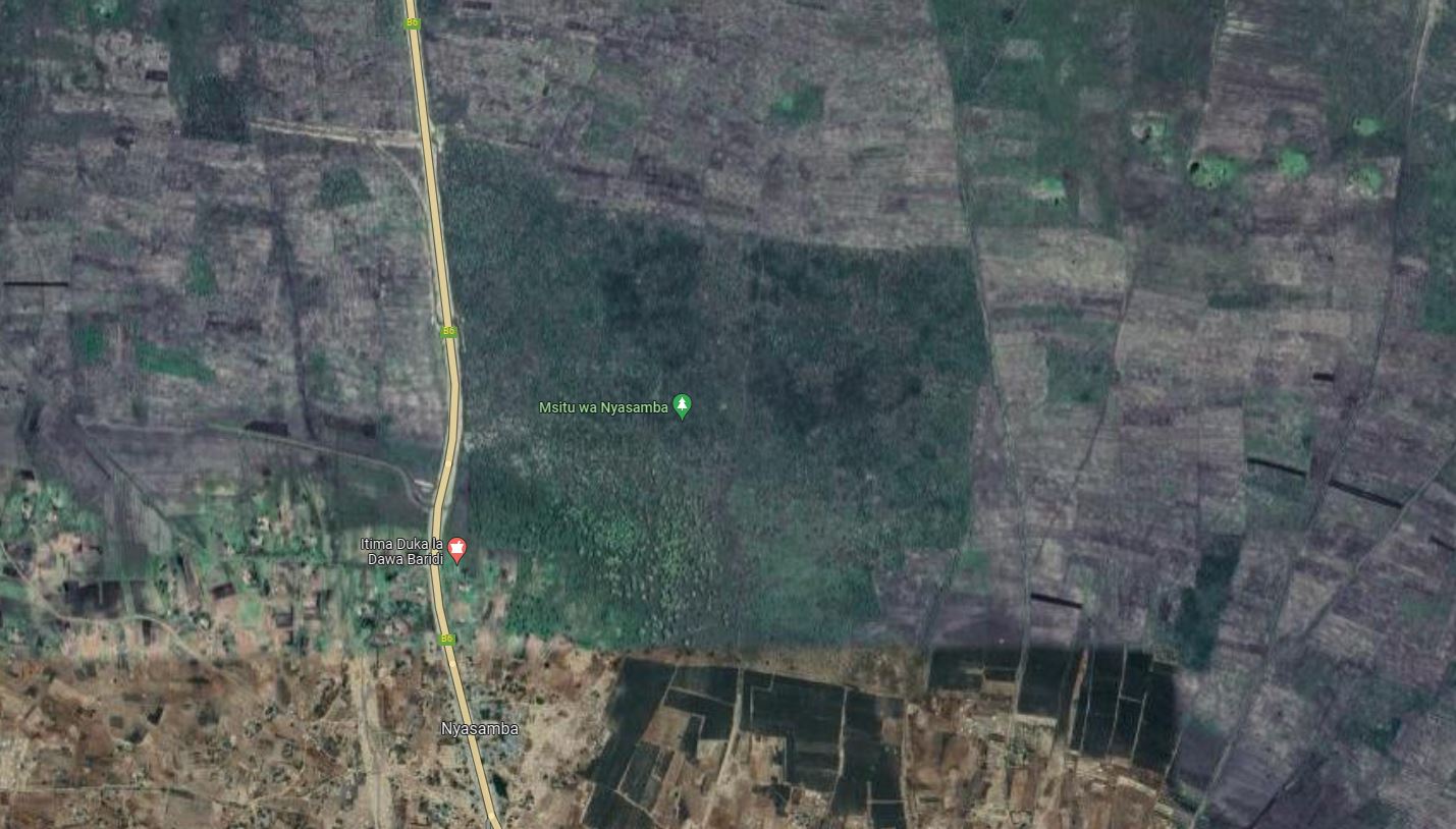 Nyasamban metsä erottuu Google Mapsin satelliittikuvan keskellä vihreänä.