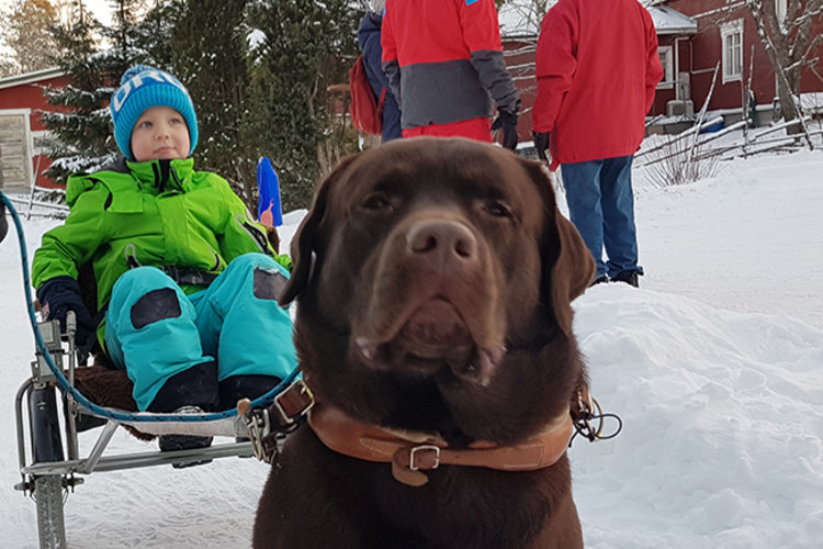 Koira ja lapsi talvimaisemassa