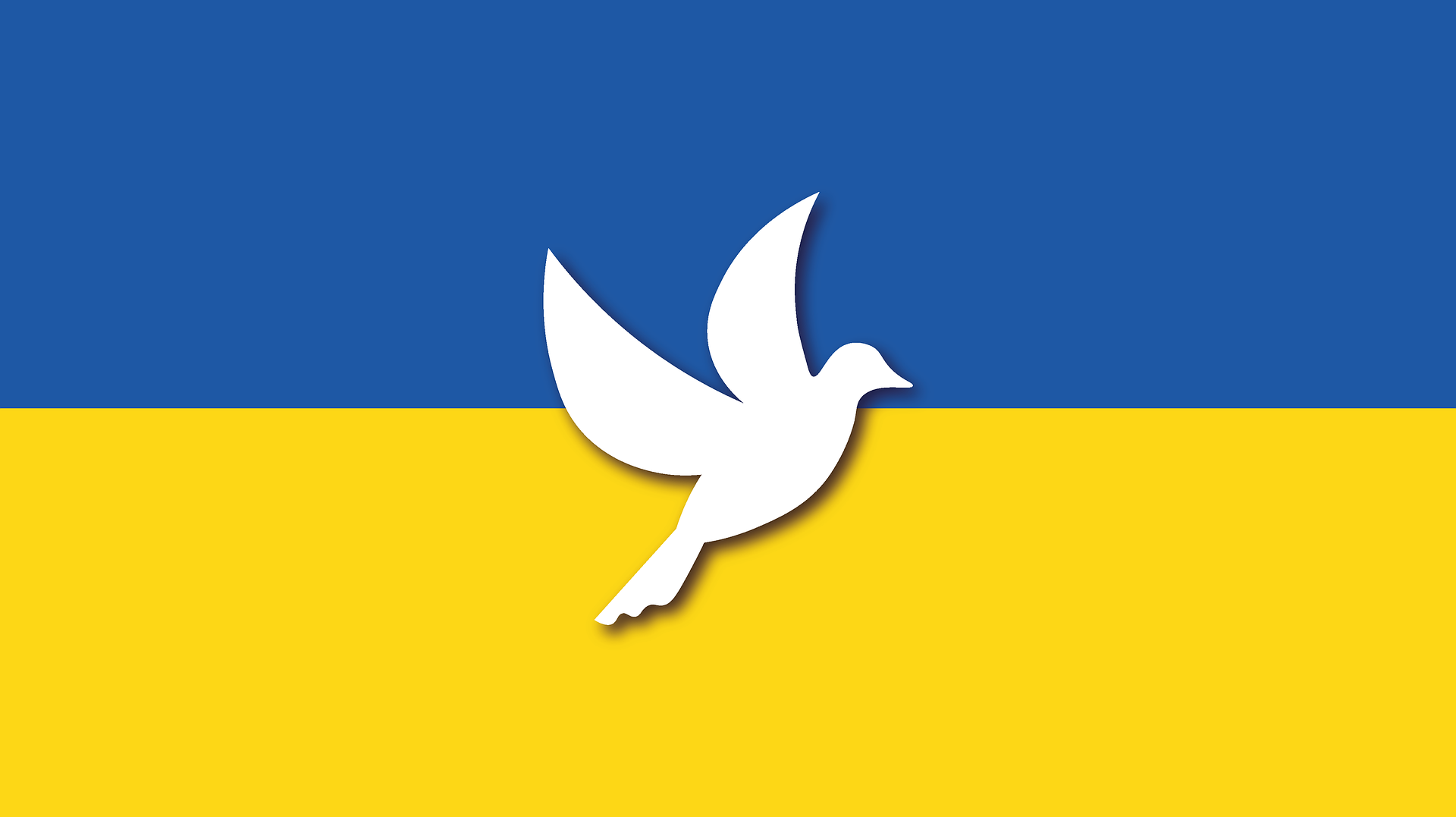 Ukrainan lippu ja rauhankyykky