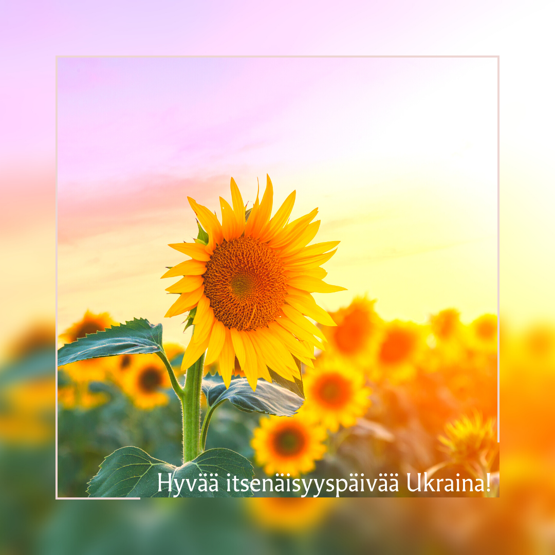 Auringonkukka ja teksti: Hyvää itsenäisyyspäivää Ukraina!